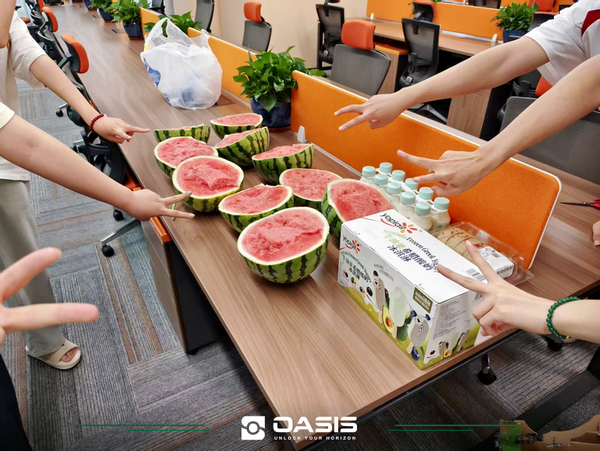 A Refreshing Summer Afternoon Tea Brings the OASIS NEV Team Together
